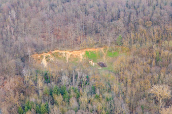 Vue aérienne de Lisière de la forêt à le quartier Ingenheim in Billigheim-Ingenheim dans le département Rhénanie-Palatinat, Allemagne