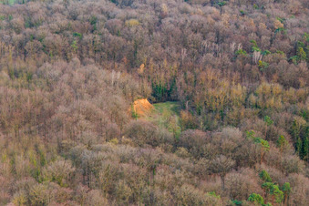 Vue aérienne de Ancienne gravière dans la forêt à le quartier Ingenheim in Billigheim-Ingenheim dans le département Rhénanie-Palatinat, Allemagne
