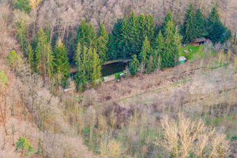 Vue aérienne de Étang à poissons à Horbach dans la forêt à Barbelroth dans le département Rhénanie-Palatinat, Allemagne