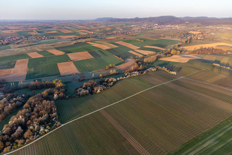 Vue aérienne de Horbachtal au soleil du matin à Niederhorbach dans le département Rhénanie-Palatinat, Allemagne