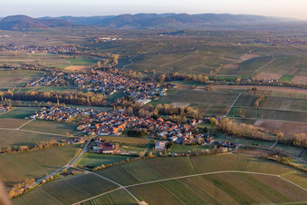Vue aérienne de Champs et vignobles avec en toile de fond la lisière de Haardt de la forêt du Palatinat dans le district de Heuchelheim à le quartier Klingen in Heuchelheim-Klingen dans le département Rhénanie-Palatinat, Allemagne