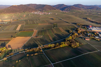Vue aérienne de Vallée d'Aalmühl avant Eschbach au bord du Haardt à Göcklingen dans le département Rhénanie-Palatinat, Allemagne