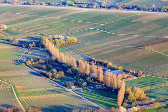 Vue aérienne de Hirtenbrunnerhof sur l'Aalmühl à Ilbesheim bei Landau dans le département Rhénanie-Palatinat, Allemagne