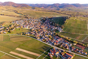 Vue aérienne de Des terres agricoles et des vignobles entourent la zone d'implantation du village au pied du petit Kalmit au printemps dans le Palatinat à Ilbesheim bei Landau dans le département Rhénanie-Palatinat, Allemagne