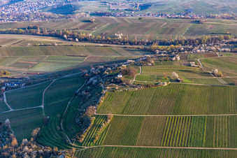 Vue aérienne de Chapelle « Kleine Kalmit » dans la réserve naturelle de Kleine Kalmit le matin de Pâques avec des fleurs printanières à Ilbesheim bei Landau dans le département Rhénanie-Palatinat, Allemagne