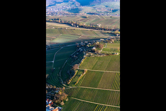 Vue aérienne de Chapelle « Kleine Kalmit » dans la réserve naturelle de Kleine Kalmit le matin de Pâques avec des fleurs printanières à Ilbesheim bei Landau dans le département Rhénanie-Palatinat, Allemagne