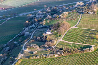 Photographie aérienne de Chapelle « Kleine Kalmit » dans la réserve naturelle de Kleine Kalmit le matin de Pâques avec des fleurs printanières à Ilbesheim bei Landau dans le département Rhénanie-Palatinat, Allemagne