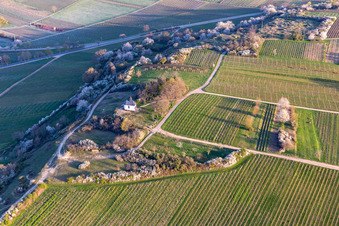Vue aérienne de Chapelle dans la réserve naturelle de Kleine Kalmit dans le Palatinat à Ilbesheim bei Landau dans le département Rhénanie-Palatinat, Allemagne