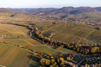 Vue aérienne de Ranschbachtal à Ranschbach dans le département Rhénanie-Palatinat, Allemagne