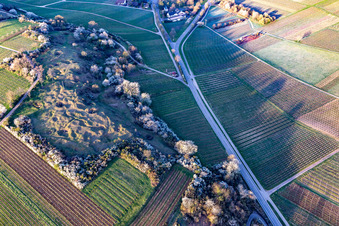 Vue aérienne de Réserve naturelle de Kleine Kalmit le matin de Pâques avec des fleurs printanières à le quartier Arzheim in Landau in der Pfalz dans le département Rhénanie-Palatinat, Allemagne