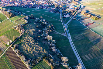 Vue aérienne de Réserve naturelle de Kleine Kalmit le matin de Pâques avec des fleurs printanières à le quartier Arzheim in Landau in der Pfalz dans le département Rhénanie-Palatinat, Allemagne