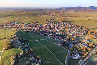 Chapelle « Kleine Kalmit » dans la réserve naturelle de Kleine Kalmit le matin de Pâques avec des fleurs printanières à Ilbesheim bei Landau dans le département Rhénanie-Palatinat, Allemagne vue d'en haut