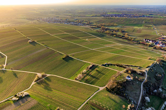Chapelle « Kleine Kalmit » dans la réserve naturelle de Kleine Kalmit le matin de Pâques avec des fleurs printanières à Ilbesheim bei Landau dans le département Rhénanie-Palatinat, Allemagne depuis l'avion