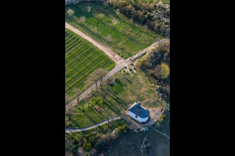 Vue oblique de Chapelle "Kleine Kalmit" dans la réserve naturelle de Kleine Kalmit le matin de Pâques avec fleurs printanières à Ilbesheim bei Landau in der Pfalz dans le département Rhénanie-Palatinat, Allemagne