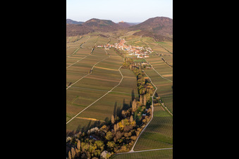 Vue aérienne de Vignes au printemps devant le Trifels à Birkweiler à Ranschbach dans le département Rhénanie-Palatinat, Allemagne