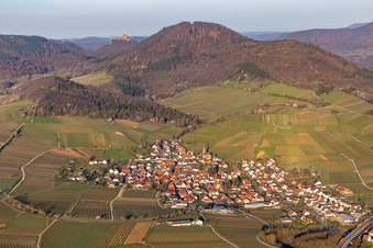 Vue aérienne de Vignes au printemps devant le Trifels à Birkweiler dans le département Rhénanie-Palatinat, Allemagne