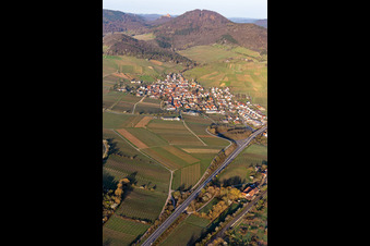 Vue aérienne de Keschdebusch (brousse de châtaigniers) devant le Trifels à Birkweiler dans le département Rhénanie-Palatinat, Allemagne