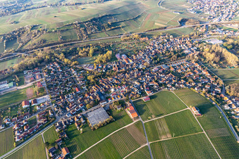 Photographie aérienne de Complexe de bâtiments de la station de recherche viticole de l'Institut Julius Kühn de Geilweilerhof avec des amandiers en fleurs à Siebeldingen dans le département Rhénanie-Palatinat, Allemagne