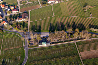 Vue aérienne de Cimetière à Frankweiler dans le département Rhénanie-Palatinat, Allemagne
