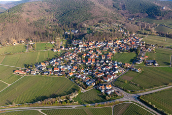 Vue oblique de Gleisweiler dans le département Rhénanie-Palatinat, Allemagne
