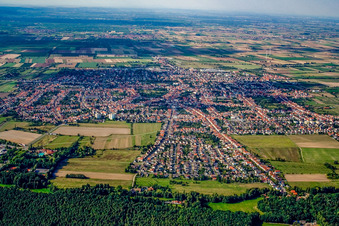 Vue aérienne de Ville du sud à Haßloch dans le département Rhénanie-Palatinat, Allemagne
