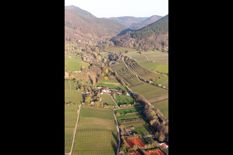 Vue aérienne de Modenbachtal à Burrweiler dans le département Rhénanie-Palatinat, Allemagne