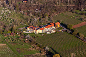 Vue aérienne de Hôtel bien-être Alte Rebschule et Gasthaus Sesel au printemps à Rhodt unter Rietburg dans le département Rhénanie-Palatinat, Allemagne