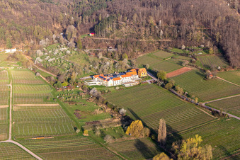 Photographie aérienne de Hôtel bien-être Alte Rebschule et Gasthaus Sesel au printemps à Rhodt unter Rietburg dans le département Rhénanie-Palatinat, Allemagne