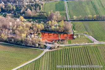 Vue aérienne de TC Vert-Blanc Edenkoben eV à Edenkoben dans le département Rhénanie-Palatinat, Allemagne