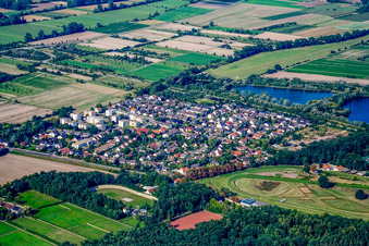 Vue aérienne de Du sud-ouest à Haßloch dans le département Rhénanie-Palatinat, Allemagne