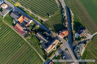Vue aérienne de Maîtres chanteurs à Edenkoben dans le département Rhénanie-Palatinat, Allemagne