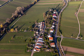Vue aérienne de Quartier de la Klosterstraße à Edenkoben dans le département Rhénanie-Palatinat, Allemagne