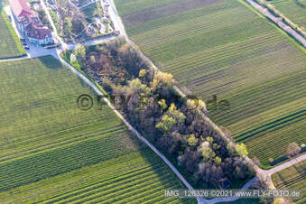 Vue aérienne de Vallée de Triefenbach à Edenkoben dans le département Rhénanie-Palatinat, Allemagne