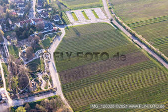 Vue aérienne de Alla Hopp! Salle de sport et de réunion à Edenkoben dans le département Rhénanie-Palatinat, Allemagne