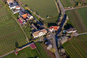 Vue aérienne de Manoir du domaine des Meistersinger à Edenkoben dans le département Rhénanie-Palatinat, Allemagne