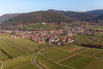 Vue aérienne de Village - vue sur la lisière du Haardt de la forêt du Palatinat entre les vignes au printemps à le quartier SaintMartin in Sankt Martin dans le département Rhénanie-Palatinat, Allemagne