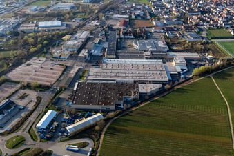 Vue oblique de Locaux de l'usine Tenneco Automotive Deutschland GmbH à Edenkoben dans le département Rhénanie-Palatinat, Allemagne