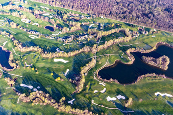 Vue aérienne de Arbres en fleurs au printemps sur le terrain de golf Landgut Dreihof - GOLF absolu à le quartier Dreihof in Essingen dans le département Rhénanie-Palatinat, Allemagne