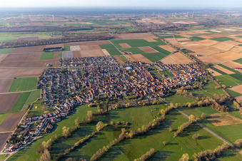 Vue d'oiseau de Steinweiler dans le département Rhénanie-Palatinat, Allemagne