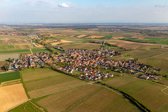 Vue oblique de Champs agricoles et terres agricoles à Impflingen dans le département Rhénanie-Palatinat, Allemagne