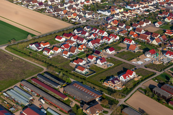 Vue aérienne de Sur le chemin intermédiaire à Hördt dans le département Rhénanie-Palatinat, Allemagne