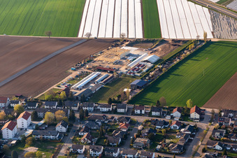 Vue aérienne de Aussiedlerhof, Biohof Kugelmann à Kandel dans le département Rhénanie-Palatinat, Allemagne