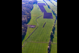 Vue aérienne de Prairies entre Erlenbach et Flutgraben à Steinweiler dans le département Rhénanie-Palatinat, Allemagne