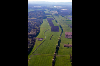 Vue aérienne de Prairies entre Erlenbach et Flutgraben à Steinweiler dans le département Rhénanie-Palatinat, Allemagne