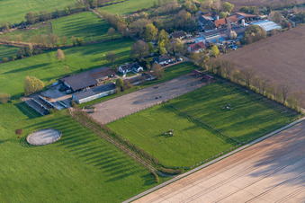 Vue aérienne de Pension pour chevaux au ranch Palatino à Steinweiler dans le département Rhénanie-Palatinat, Allemagne