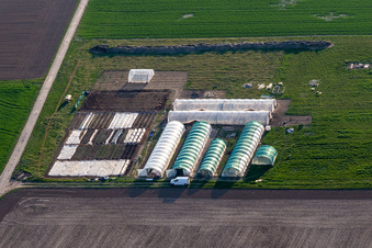 Steinweiler dans le département Rhénanie-Palatinat, Allemagne vue du ciel