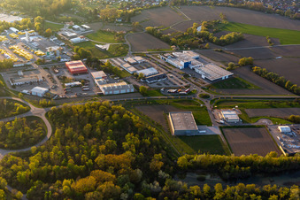 Vue aérienne de Groupe Zimmer, Mediaco à le quartier Freistett in Rheinau dans le département Bade-Wurtemberg, Allemagne