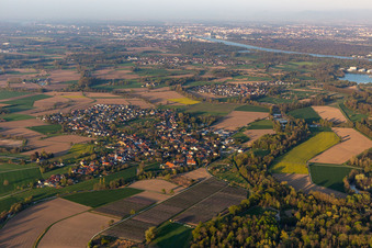 Vue aérienne de Zones riveraines du Rhin en Diersheim à le quartier Diersheim in Rheinau dans le département Bade-Wurtemberg, Allemagne