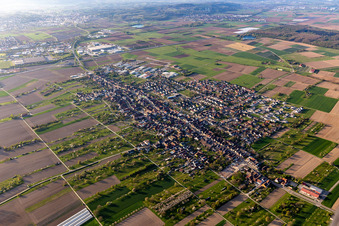 Vue aérienne de Vue de la ville en bordure des champs agricoles et des terres agricoles en Grafenhausen à le quartier Grafenhausen in Kappel-Grafenhausen dans le département Bade-Wurtemberg, Allemagne