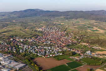 Vue aérienne de Paysage viticole des régions viticoles de Bahlingen dans le Kaiserstuhl à Bahlingen am Kaiserstuhl dans le département Bade-Wurtemberg, Allemagne